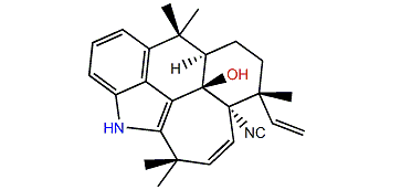 Ambiguine L isonitrile